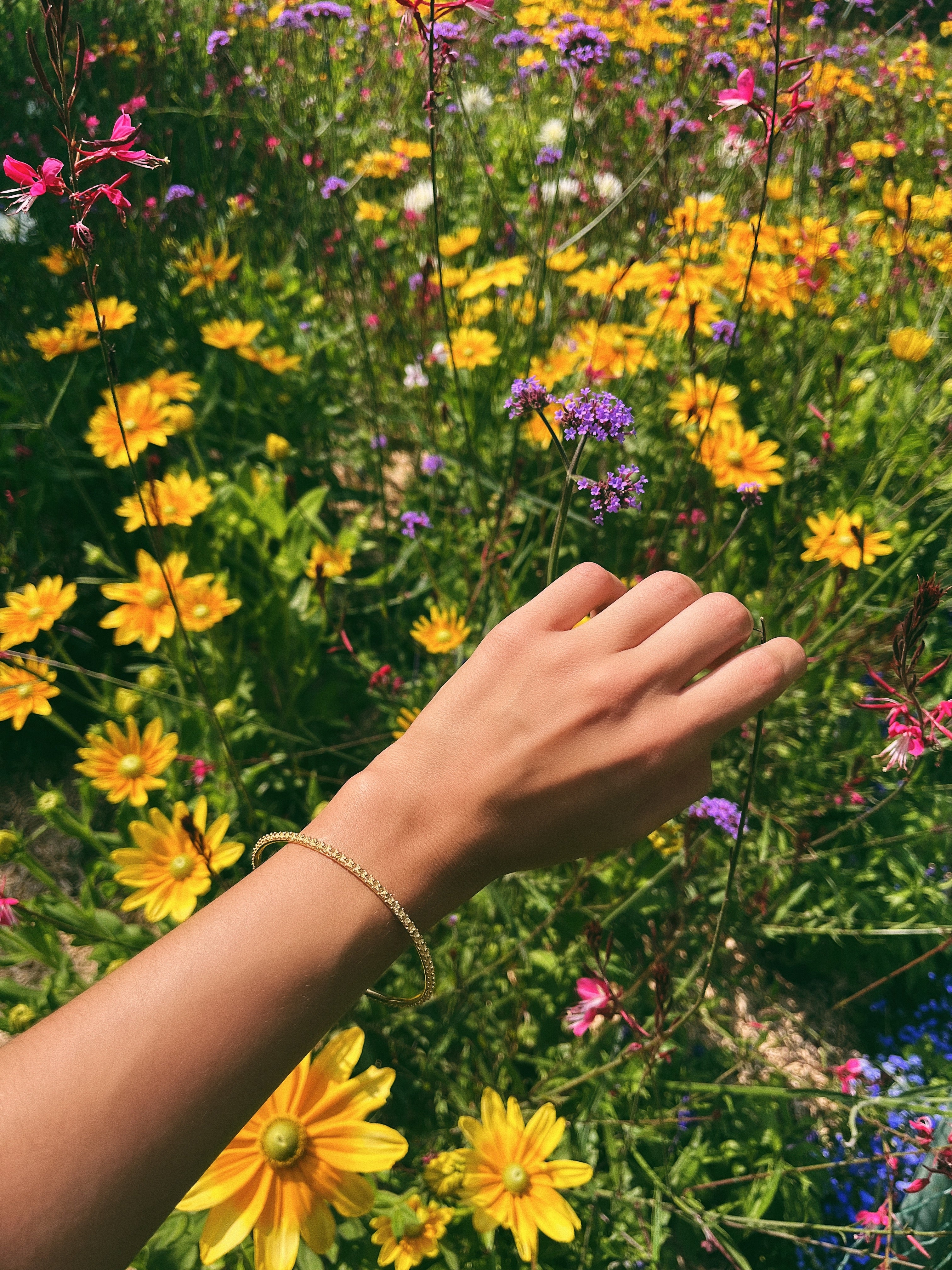 MANOU Bracelet - Filigree - Gold-plated silver  | MEA AYAYA